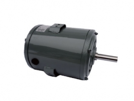 �̹��� ��ü����